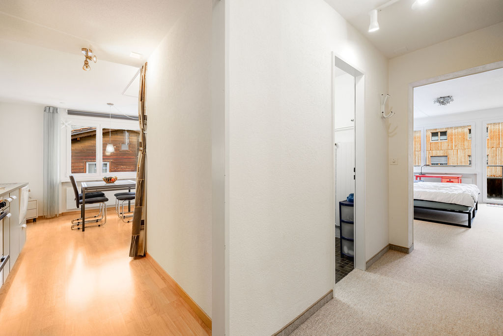 Hallway through the apartment